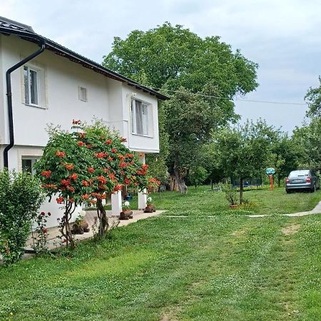Casa Pandrea Guest House Cîrţişoara Eksteriør bilde