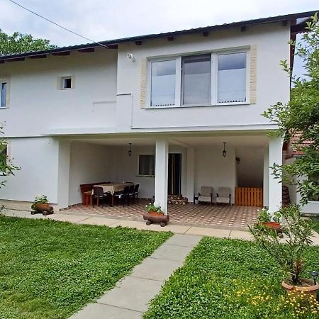 Casa Pandrea Guest House Cîrţişoara Eksteriør bilde