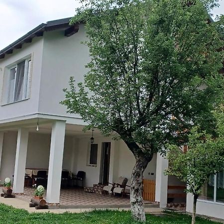 Casa Pandrea Guest House Cîrţişoara Eksteriør bilde