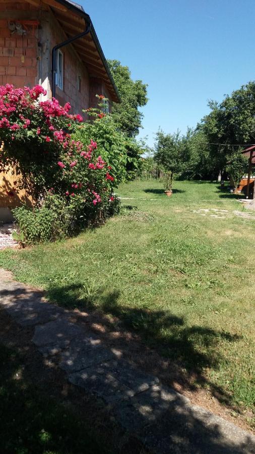 Casa Pandrea Guest House Cîrţişoara Eksteriør bilde