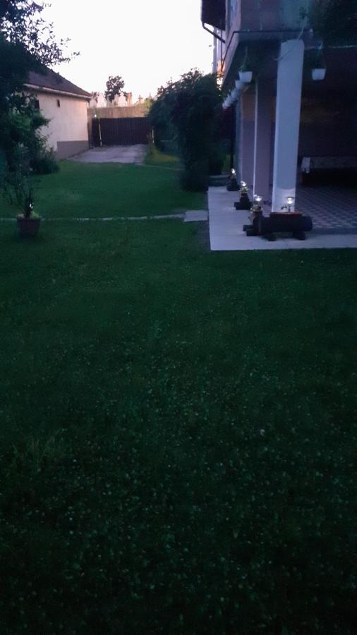Casa Pandrea Guest House Cîrţişoara Eksteriør bilde
