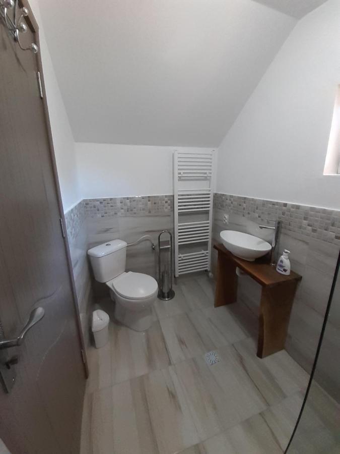Casa Pandrea Guest House Cîrţişoara Eksteriør bilde