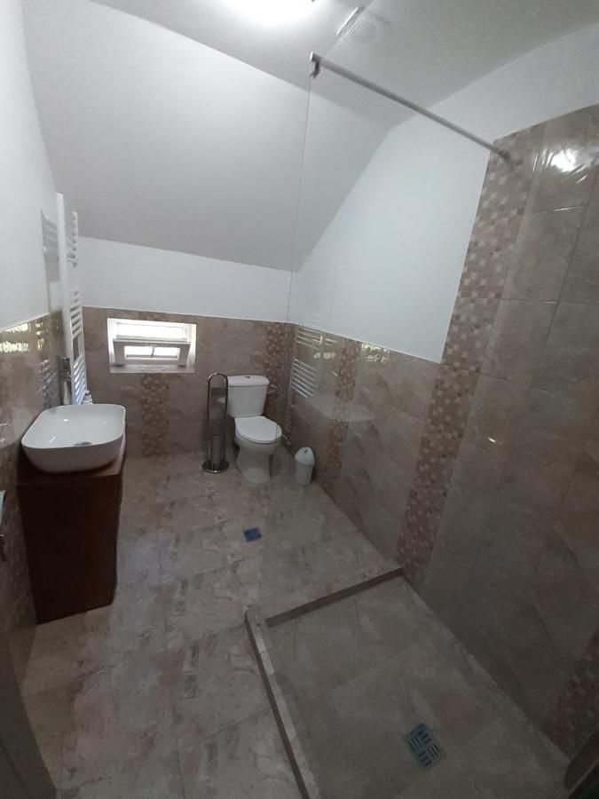 Casa Pandrea Guest House Cîrţişoara Eksteriør bilde