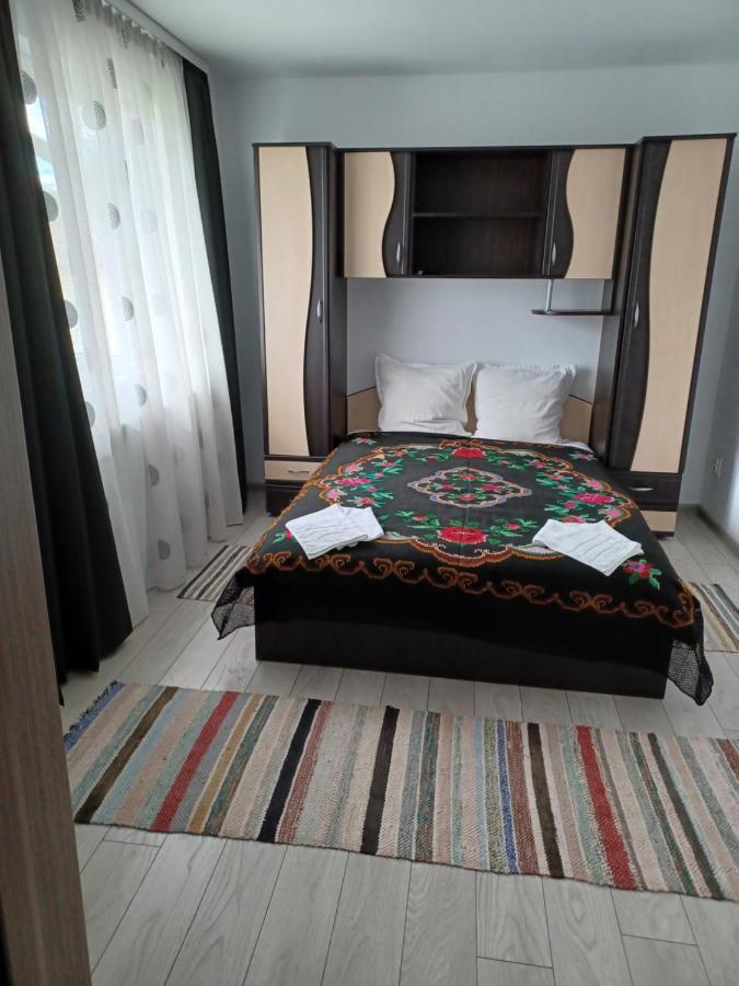 Casa Pandrea Guest House Cîrţişoara Eksteriør bilde
