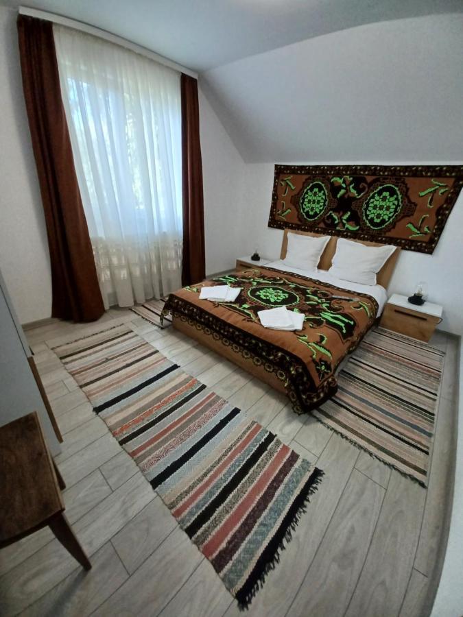 Casa Pandrea Guest House Cîrţişoara Eksteriør bilde