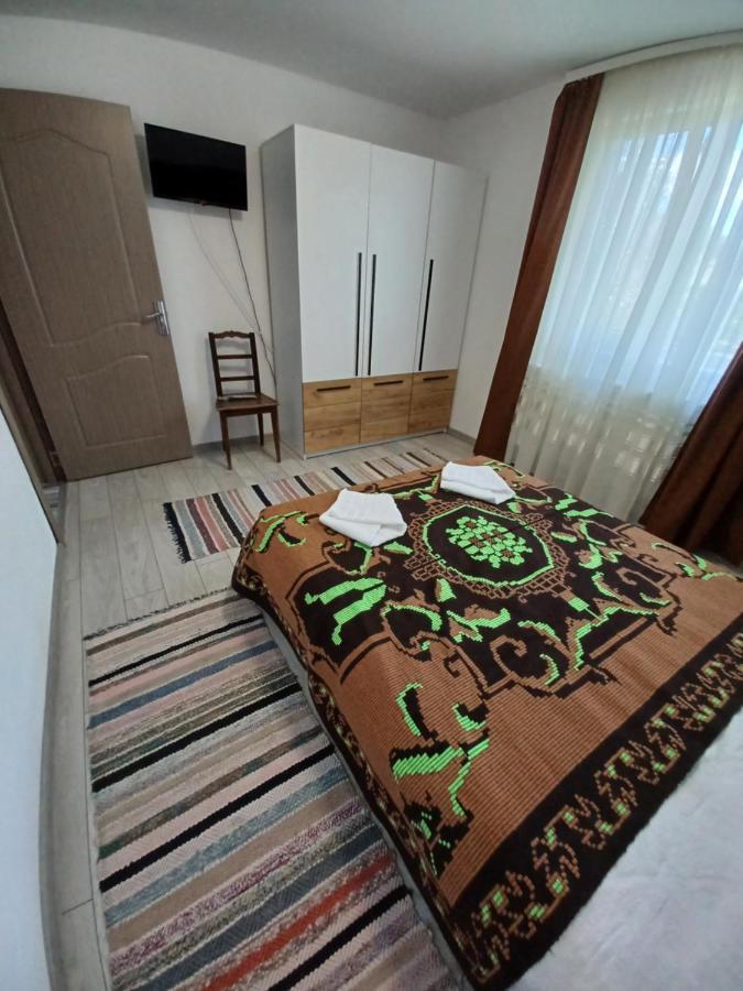 Casa Pandrea Guest House Cîrţişoara Eksteriør bilde