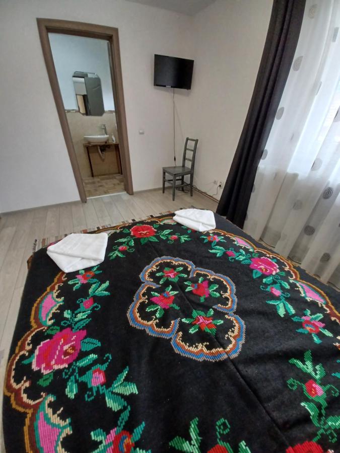 Casa Pandrea Guest House Cîrţişoara Eksteriør bilde