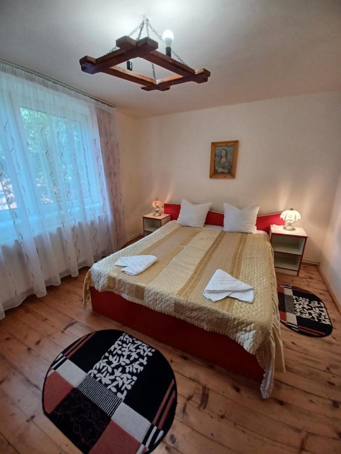 Casa Pandrea Guest House Cîrţişoara Eksteriør bilde