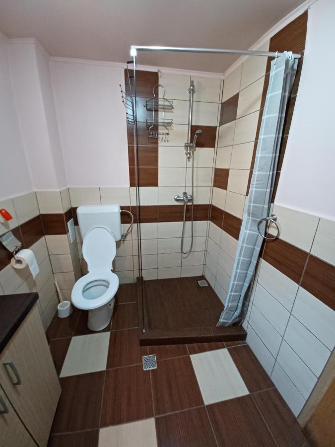 Casa Pandrea Guest House Cîrţişoara Eksteriør bilde
