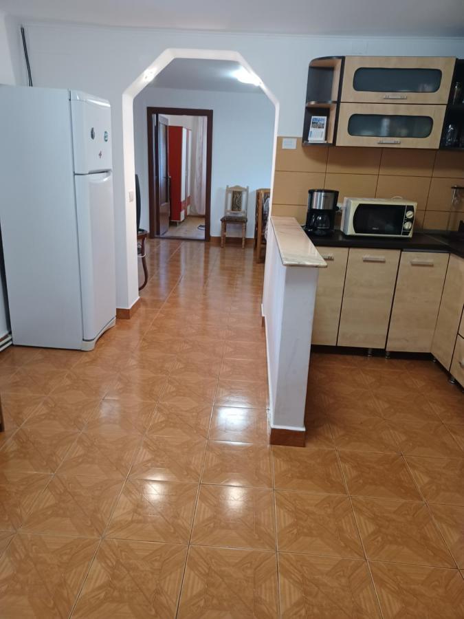 Casa Pandrea Guest House Cîrţişoara Eksteriør bilde