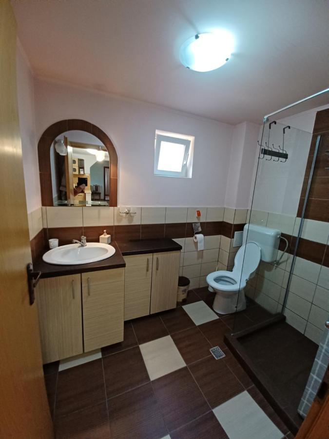 Casa Pandrea Guest House Cîrţişoara Eksteriør bilde