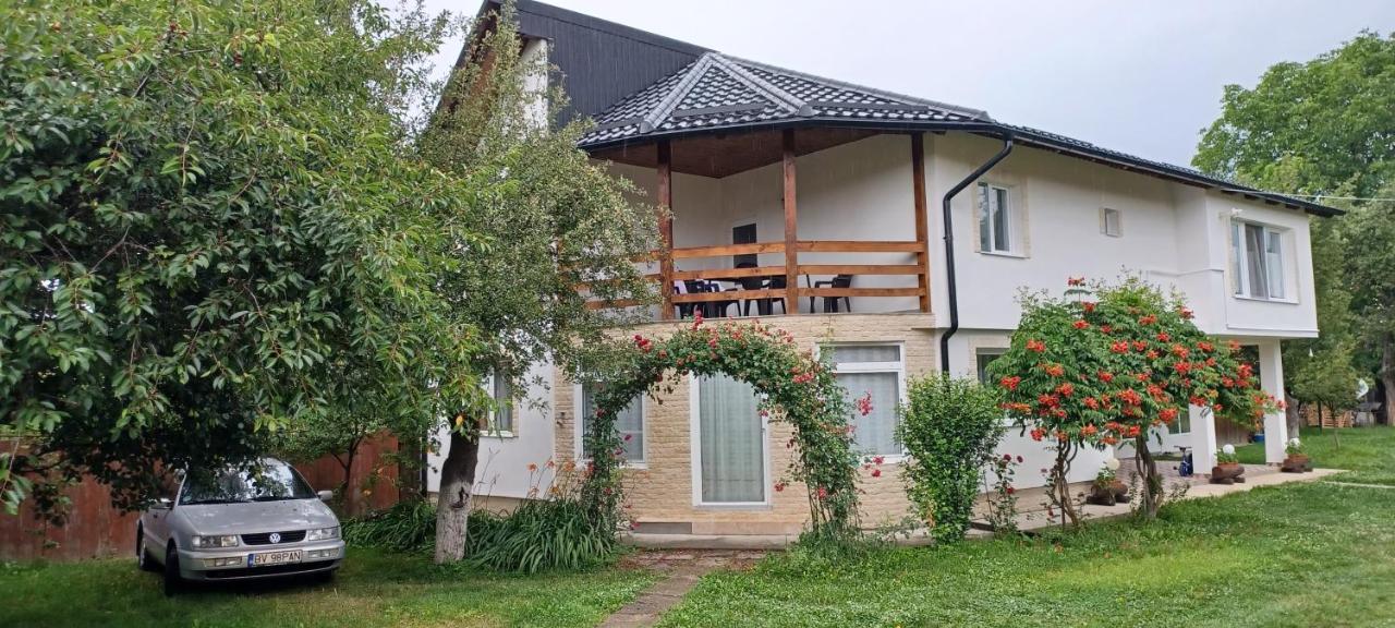 Casa Pandrea Guest House Cîrţişoara Eksteriør bilde
