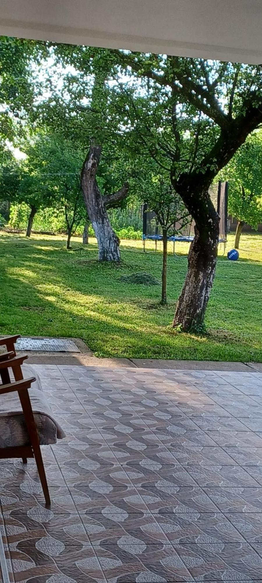 Casa Pandrea Guest House Cîrţişoara Eksteriør bilde