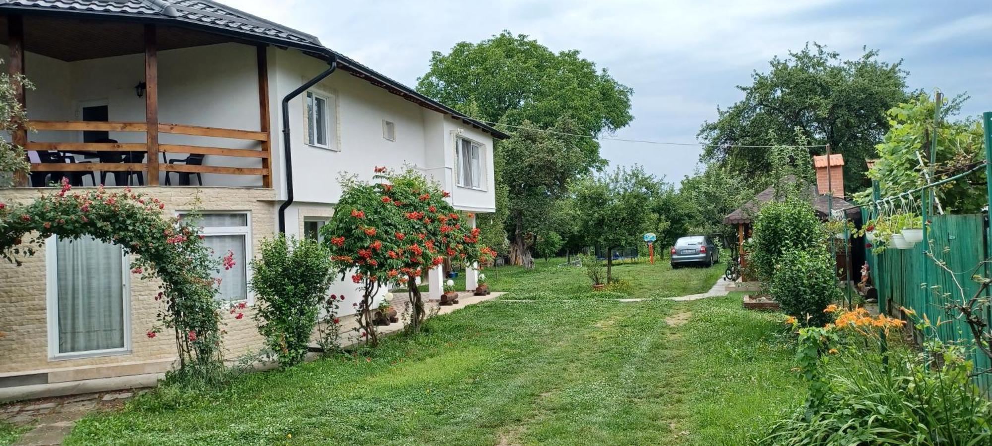 Casa Pandrea Guest House Cîrţişoara Eksteriør bilde